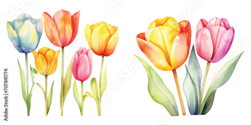 Cute Watercolor tulips #707841774