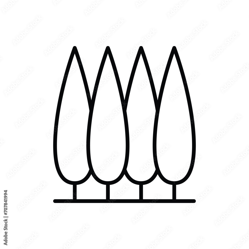Cypress tree icon. Simple outline style. Tuscany, italy, foliage, landscape, nature concept. Thin line symbol. Vector illustration isolated. Cypress tree icon. Simple outline style. Tuscany, italy, foliage, landscape, nature concept. Thin line symbol. Vector illustration isolated.