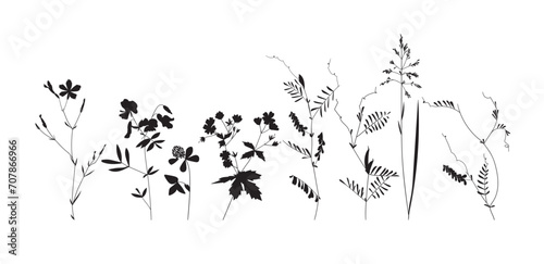 Field flowers and grasses, line drawing. Vector illustration	