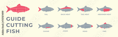 Guide cutting meat fish carcass, seafood, turkey, pork, lamb, cow, chicken. Diagrams сutting parts meat fish carcass. Butcher guide. Vector flat color drawing illustration. Isolated.