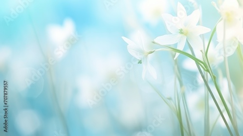 Spring snowdrops on blue background. First spring blooming Delicate Snowdrop flowers. Illustration for postcard, template, card. Copy Space. International happy womens day, 8 March, Mothers concept..