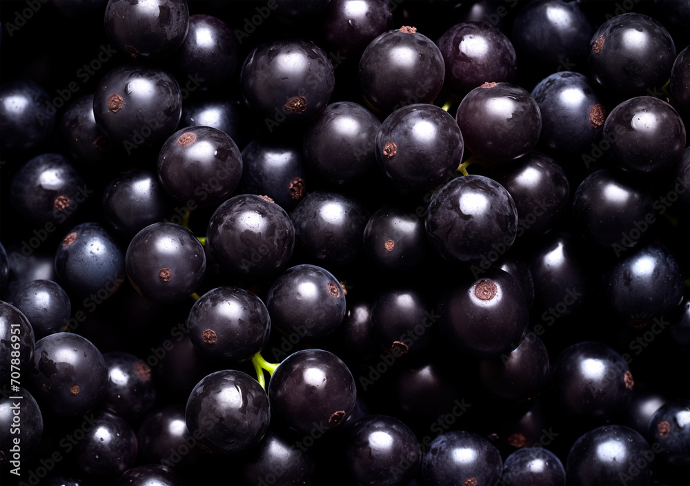Heap of black currant, top view, berry background Heap of black currant, top view, berry background