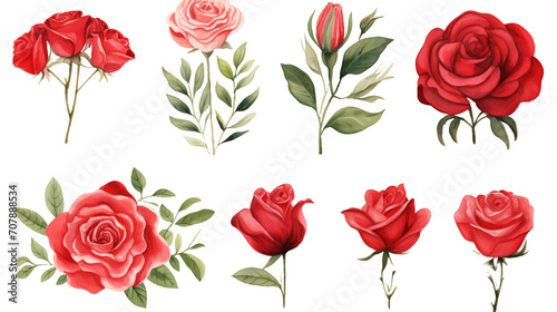 Watercolor elements red roses on a white background © WARIT_S