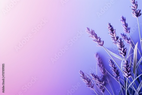 Lavender background image for design or product presentation  with a play of light and shadow