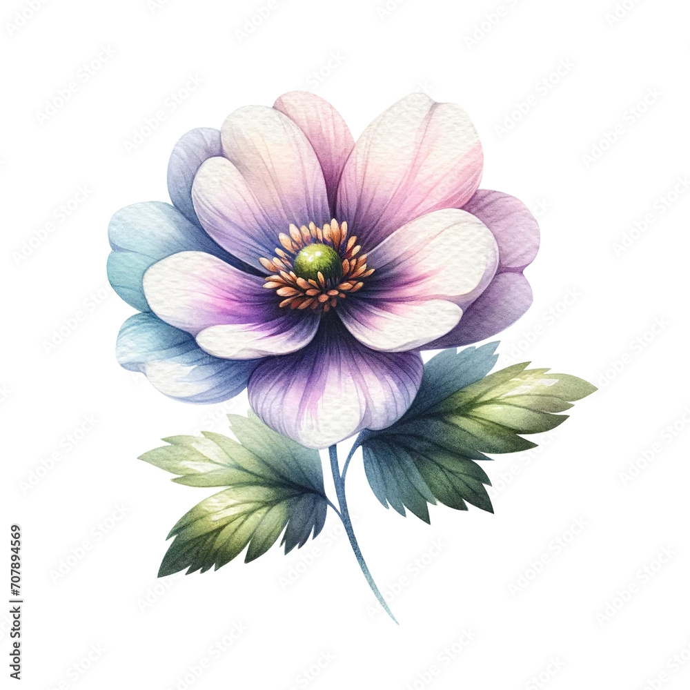 A watercolor single flower clipart on a white background. 