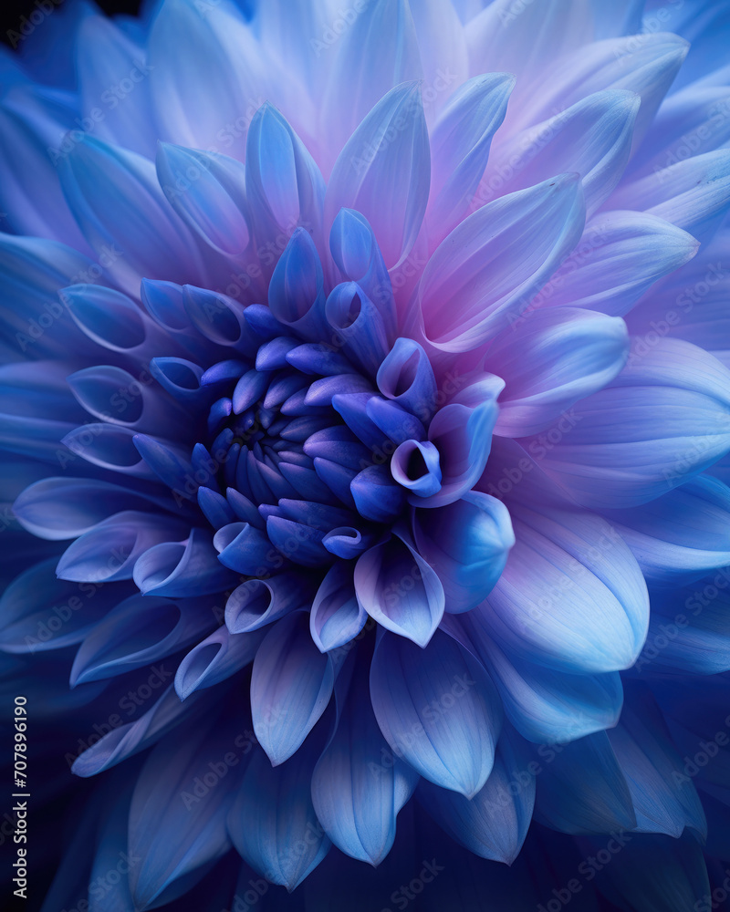 Closeup view of a blue and purple flower. 