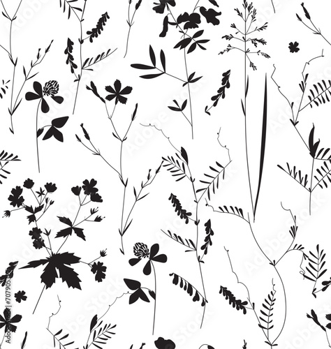 Seamless pattern. Field flowers and grasses, line drawing. Vector illustration