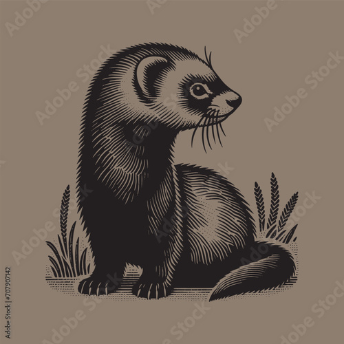 Beautiful ferret. Mustela furo.  Vintage retro engraving illustration. Black icon, logo, label.  isolated element	