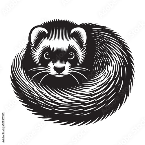 Beautiful ferret. Mustela furo.  Curled up into a ball. Vintage retro engraving illustration. Black icon, logo, label.  isolated element. png	