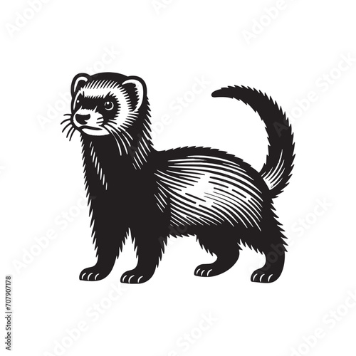 Beautiful ferret. Mustela furo.  Vintage retro engraving illustration. Black icon, logo, label.  isolated element. png	