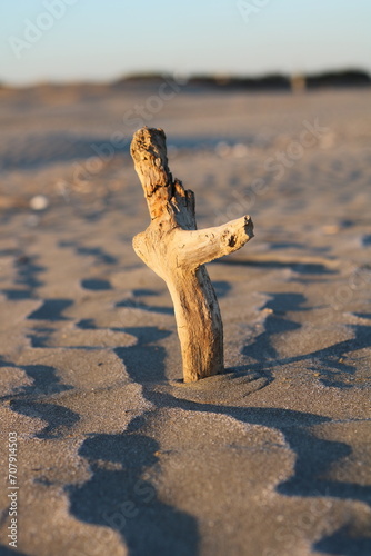 Driftwood like a cross stuck in the beach