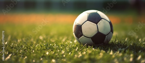 Soccer ball on field grass at stadium closeup.Traditional football ball on the green grass lawn with copy space
