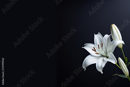 Condolence card with lily on dark background, empty for text © LimeSky