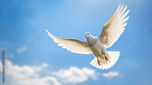 dove flying in the clear blue sky