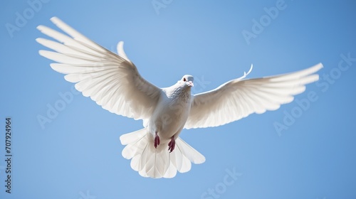 dove flying in the clear blue sky