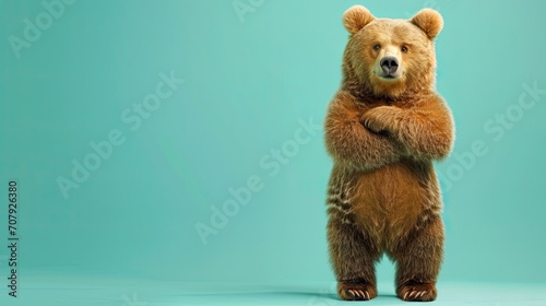 Full body grizzly bear posing in crossed arms on green background photo