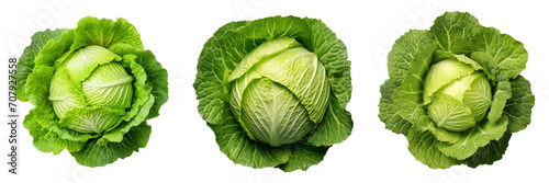 Set of green cabbage top view isolated on white or transparent background