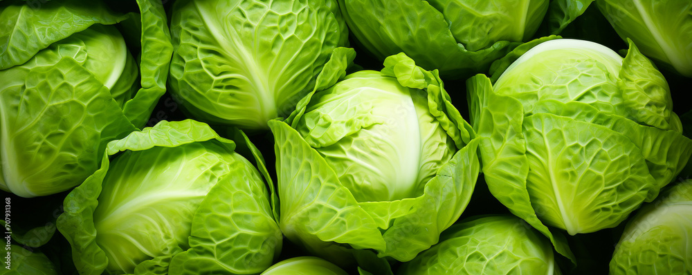 Fototapeta premium vegetarian cabbage green vegetables healthy raw organic food