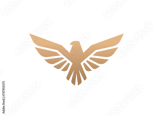 Flying eagle logo design. Vector illustration. Stylized bird logotype.