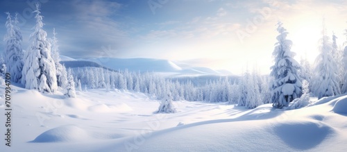 Norwegian winter covered in snow.