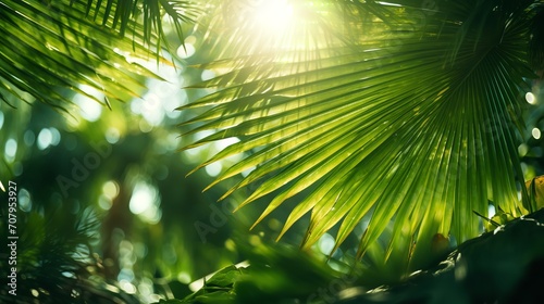Radiant sunlight on a picture-perfect backdrop of tropical greenery and verdant palm gardens  Generative AI.