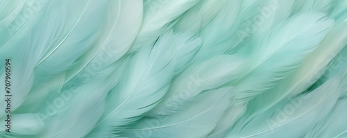 Mint pastel feather abstract background texture 