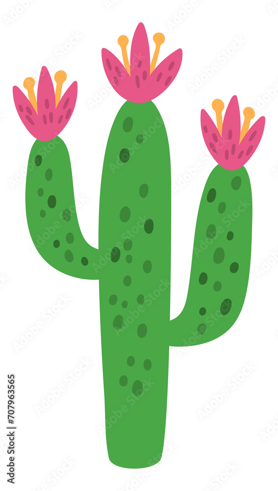 Cute cactus. Green succulent drawing. Print element