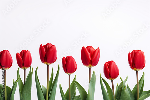 photography of some red tulip flowers on a white background, in the style of playful compositions created with Generative Ai © Andrii Yablonskyi