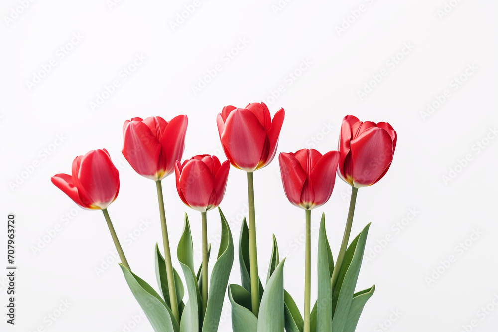 Fototapeta premium photography of some red tulip flowers on a white background, in the style of playful compositions created with Generative Ai