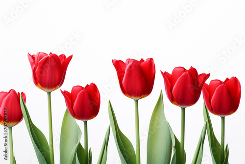 photography of some red tulip flowers on a white background, in the style of playful compositions created with Generative Ai