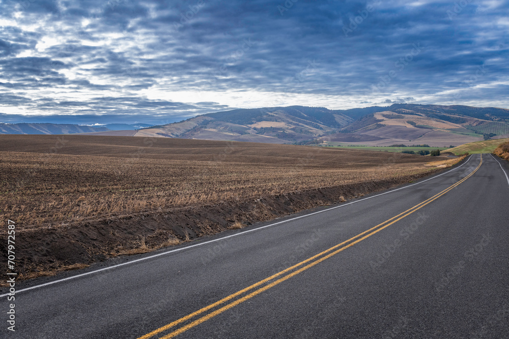 An empty road winds through wheat fields in Walla Walla, Washington.