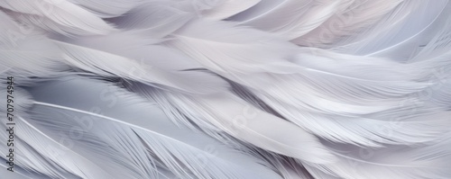 Silver pastel feather abstract background texture 