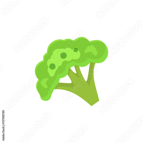 Broccoli Icon vector. Broccoli vegetable fresh farm healthy food. Broccoli colorful realistic icon vegetables symbol on white background.