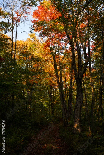 A trail in the beautiful Quebec fall colors © Richard Nantais