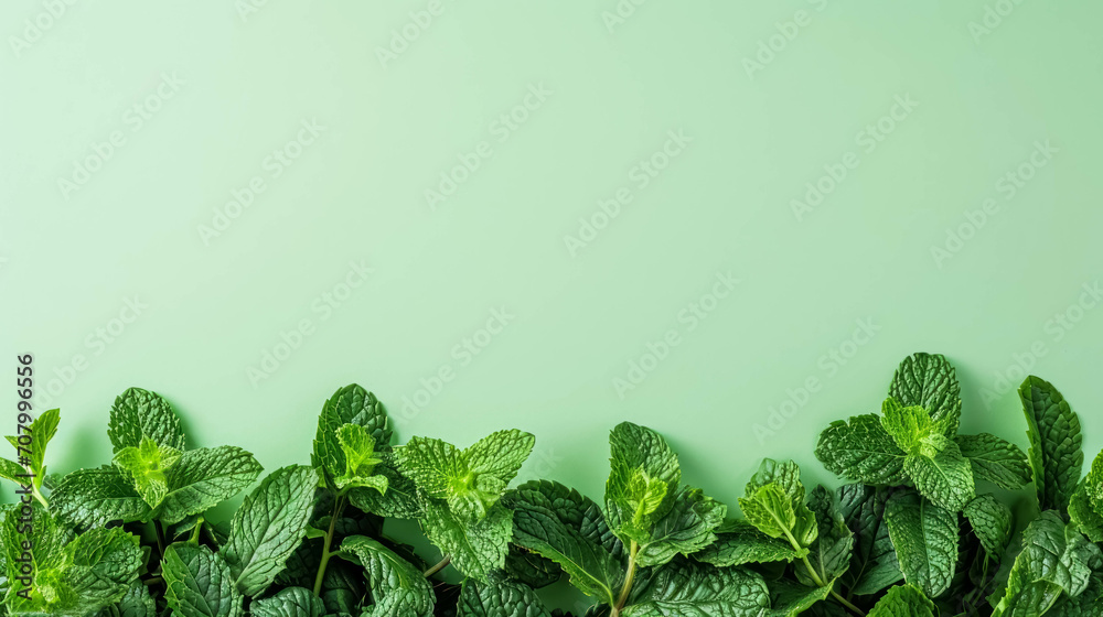 Fresh Mint Leaves on the Bottom Border Against a Light Green Backgroud, Space For Copy Space. Refreshing Ingredient - obrazy, fototapety, plakaty 