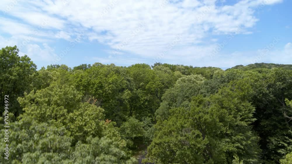 Slow flying over the beautiful green forest Slow flying over the beautiful green forest