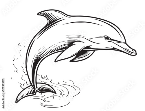 sketch dolphin cartoon icon doodle jumping vector hand drawn
