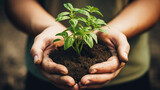 Hands holding a small amount of soil with a young plant sprouting from the center, symbolizing growth and care for the environment.
