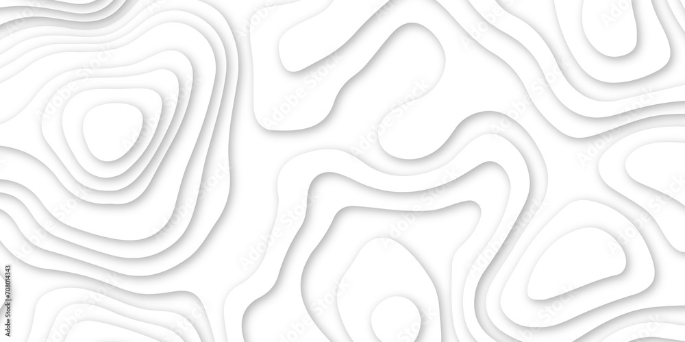 Abstract wavy line 3d paper cut white background. abstract white background with smooth wavy layers. silver grid map line topography mount contour map . Abstract wavy line 3d paper cut white background. abstract white background with smooth wavy layers. silver grid map line topography mount contour map .