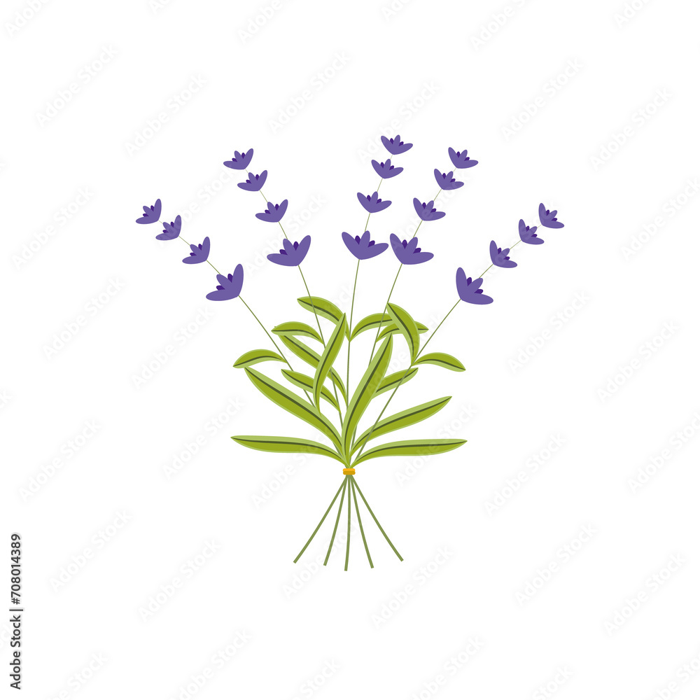 Lavender plant flowers bunch icon, isolated on white background. Vector illustration