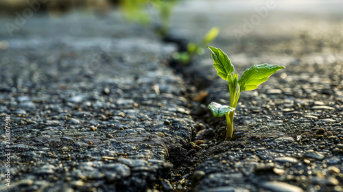 One young sprout breaks through hard surface of asphalt, tearing it, creating cracks, symbolizing strength and determination. Life persistently breaks out, making its way to light and opportunities.