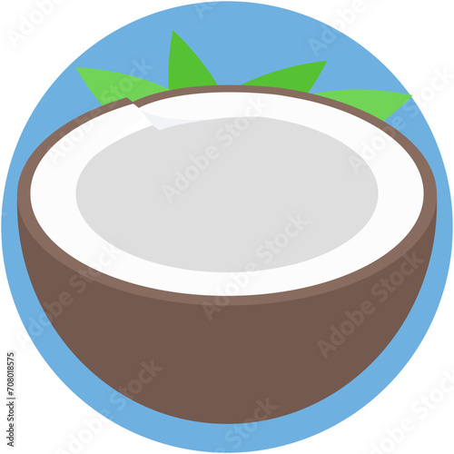Coconut Vector Icon