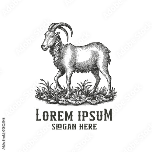 goat standing engraved style hand-drawn logo design illustration, vintage style sheep goat logo