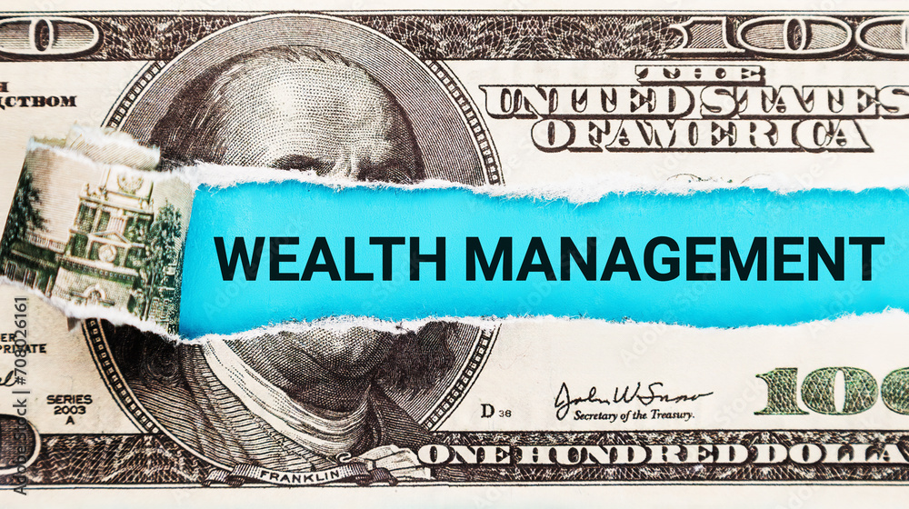 Wealth Management. Financial Advisory, Investment Strategy, and Wealth Growth Concept. A Tactful and Strategic Approach to Financial Planning and Prosperity Building. - obrazy, fototapety, plakaty 