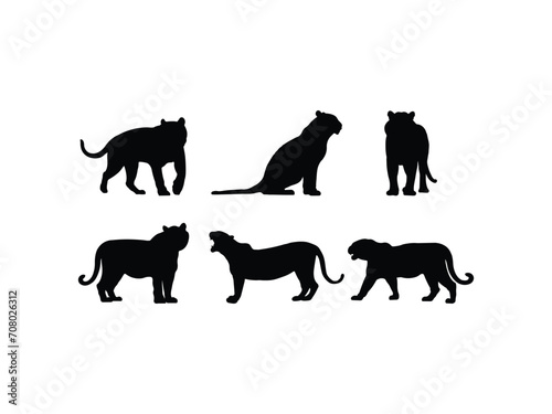 Set of Tiger Silhouette in various poses isolated on white background