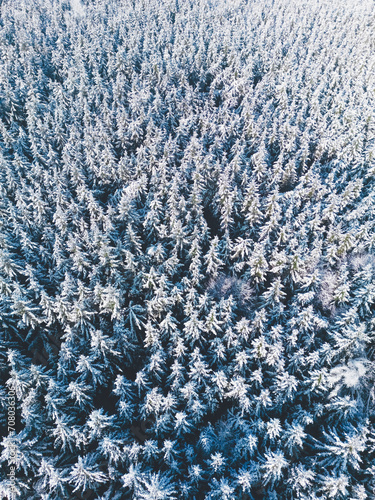 Top down drone shot of frozen tree tops in a winter wonderland forest in southern Bavaria, Germany 