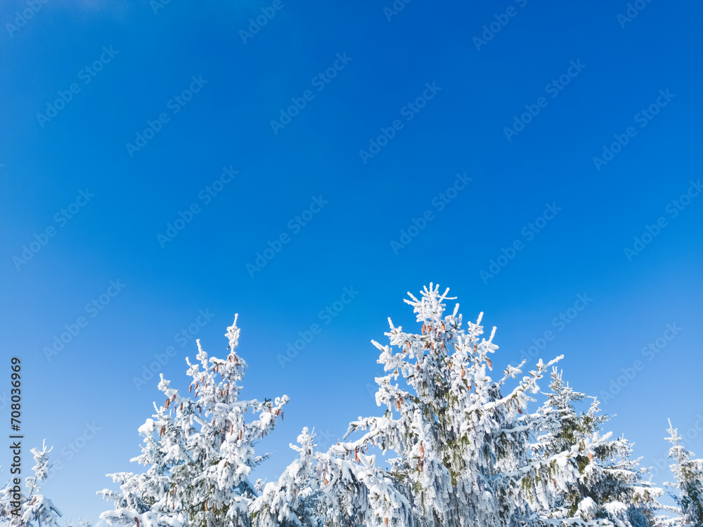 Frozen trees against a perfect blue sky in a winter wonderland in southern Bavaria, Germany Frozen trees against a perfect blue sky in a winter wonderland in southern Bavaria, Germany