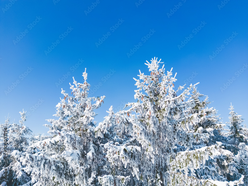 Frozen trees against a perfect blue sky in a winter wonderland in southern Bavaria, Germany Frozen trees against a perfect blue sky in a winter wonderland in southern Bavaria, Germany