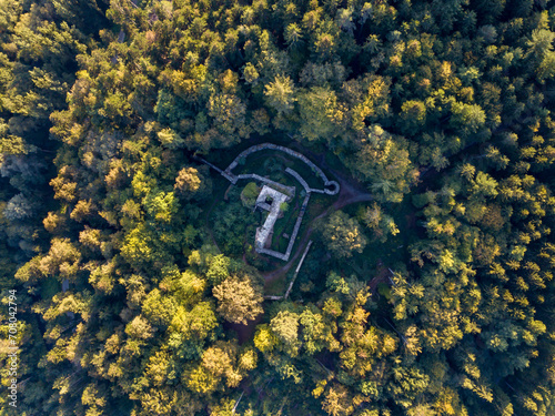 Castle ruins in the middle of the forest seen from above