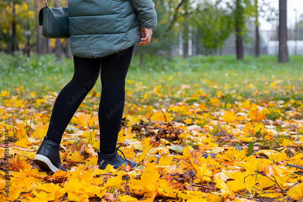 woman walking through autumn leaves in the park. woman walking through autumn leaves in the park.